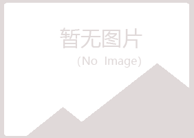 白山字迹金属有限公司